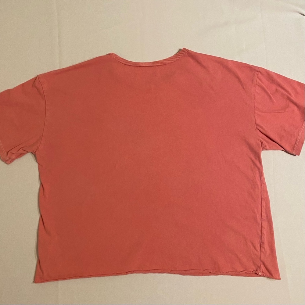 American Eagle Sz XL Cropped New Mexico Graphic T-Shirt - Picture 2 of 5